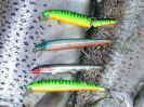 Hot_Lures_4.9.04.jpg (83879 bytes)