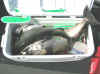 8.31.06_Tom_Mewshaw_Fish_Box_Photo.jpg (31370 bytes)