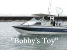 Bobbys_Toy.JPG (36352 bytes)