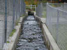 WeirRaceWay.JPG (135113 bytes)